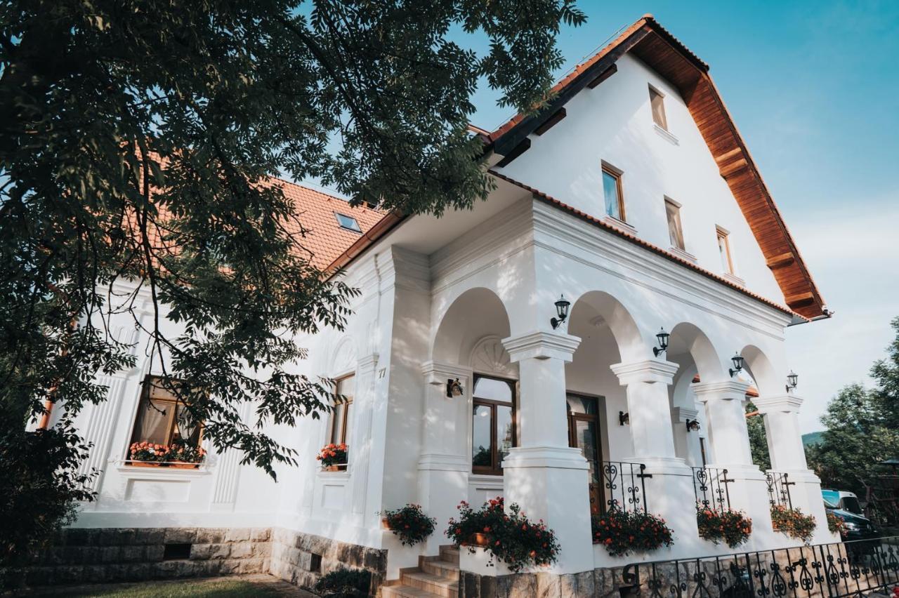 Hotel Conacul Secuiesc-Szekelyko Kuria Coltesti Exteriér fotografie