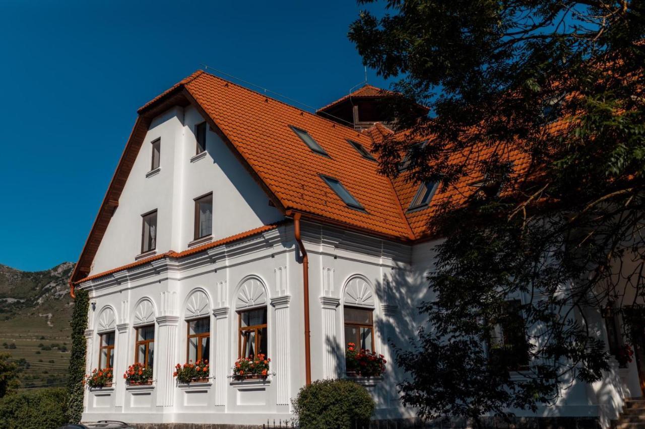 Hotel Conacul Secuiesc-Szekelyko Kuria Coltesti Exteriér fotografie